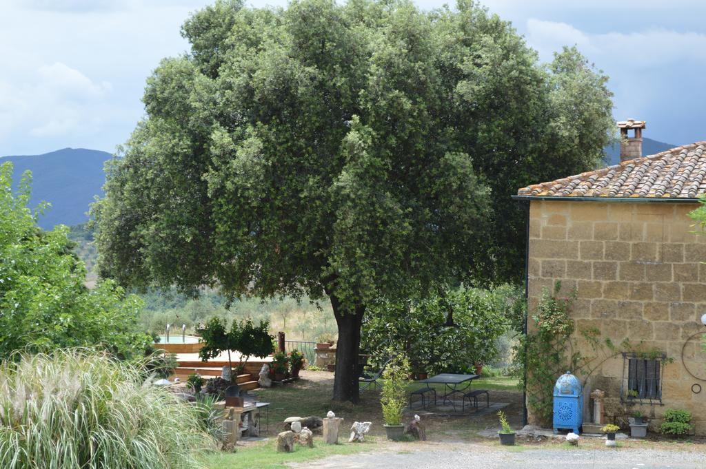Agri-Bio Podere Santa Palmira Pomarance Kültér fotó